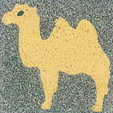 ラクダ