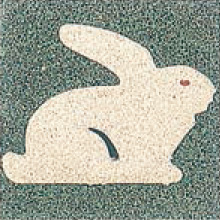 ウサギ